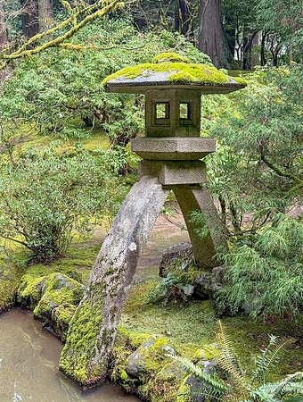 Tim - Japanese Gardens - Portland March 24, 2025 014.jpg