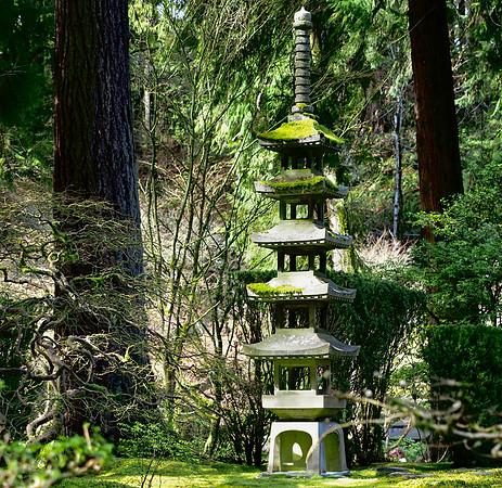 Tim - Japanese Gardens - Portland March 24, 2025 034.jpg