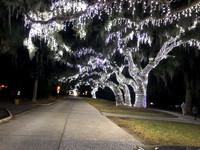 Frisch- IMG_0188