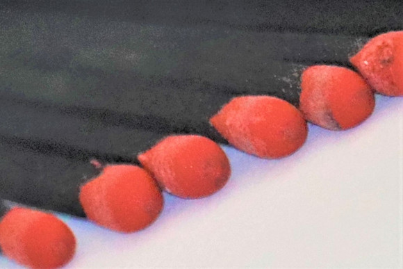 schulman matches 9