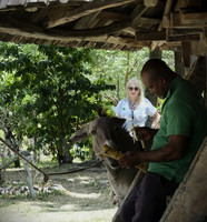 Ronald Bedard St. Lucia Lunch