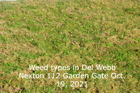 Weed inundation types 112 Garden Gate Oct. 19 2021.