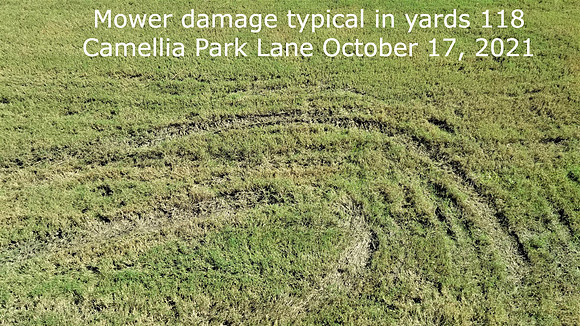 Mower Damage 118 Camellia Park Ln. Oct. 17 21 (3)