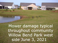 Mower Damage Willow Bend Park (2)