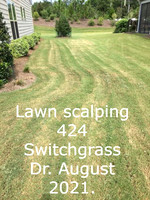 Mower Damage scalping 424 Switchgrass  Dr. Augutst 2021 (2)