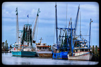 James Earley DSC_0787 We Need a Bigger Boat
