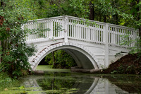 Michael Pausic 20250510-Cypress Gardens SC-54