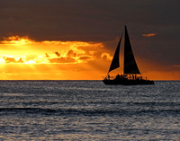 Ronald Bedard Ron Hawaiian Cruise Directional Space