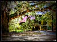 James Earley IMG_20251106_105954370_HDR~4