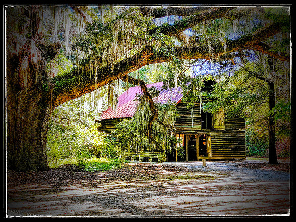 James Earley IMG_20251106_105954370_HDR~4