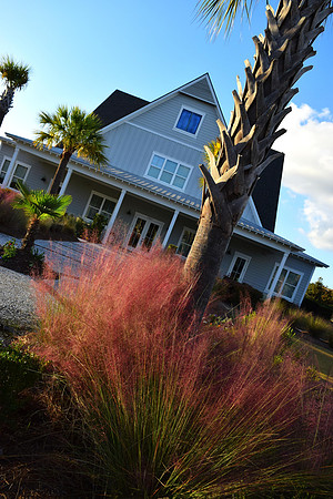 James Earley MuhlyGrass DSC_0594a