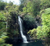 MAUI - Road to Hana March 24, 2024 - 311