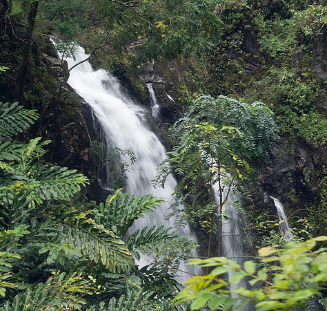 MAUI - Road to Hana March 24, 2024 - 268