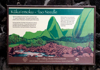 MAUI - Beset of Maui March 25, 2024 - 235