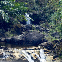 MAUI - Road to Hana March 24, 2024 - 243