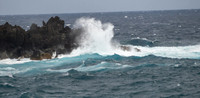 MAUI - Road to Hana March 24, 2024 - 344