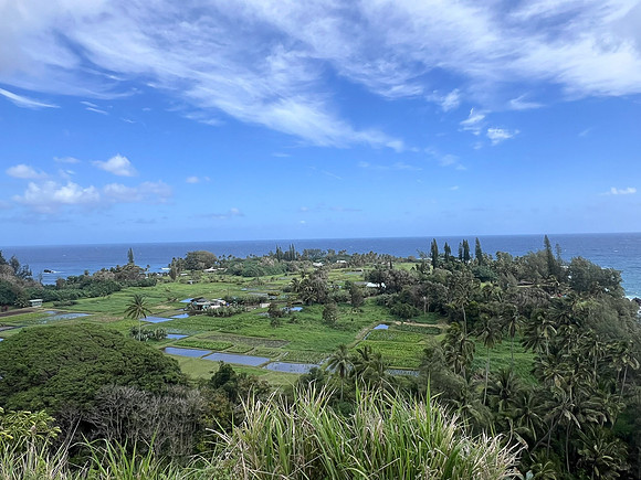 Maui HI  - March 24, 2024 001