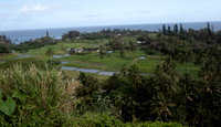MAUI - Road to Hana March 24, 2024 - 255