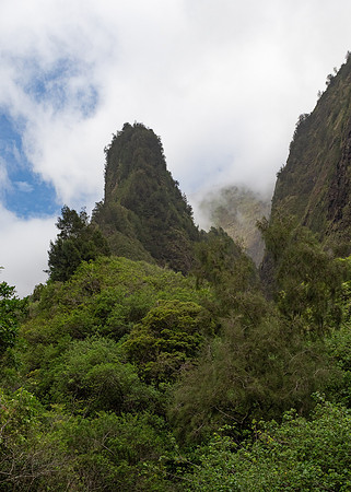 MAUI - Beset of Maui March 25, 2024 - 236