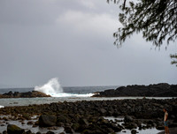 Hawaii Island - 3-26-24