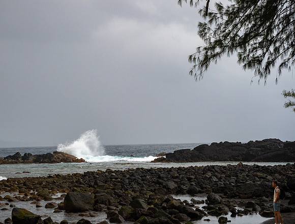 MAUI - Beset of Maui March 26, 2024 - 243