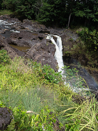 Hawaii Is  Hoppa On Hoppa Off March 26, 2024 - 243