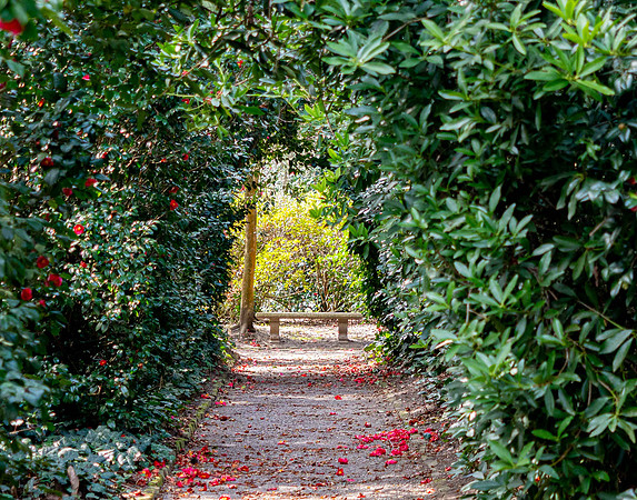 Tom Conry Middleton Place February 25, 2026 1022