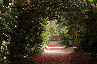 February 2026 - Middleton Place