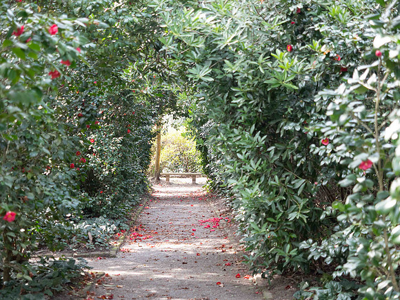 Middleton Place February 25, 2026 1022