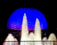 Disney World 2017