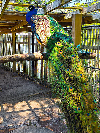 James Earley IMG_20260424_115137136_HDR