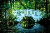 Marilyn Nordine 26 Cypress Gardens-0037