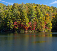 Helen GA Autumn  October 24, 2022 - 042