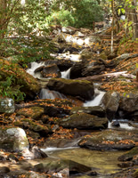 Helen GA Autumn  October 24, 2022 - 016
