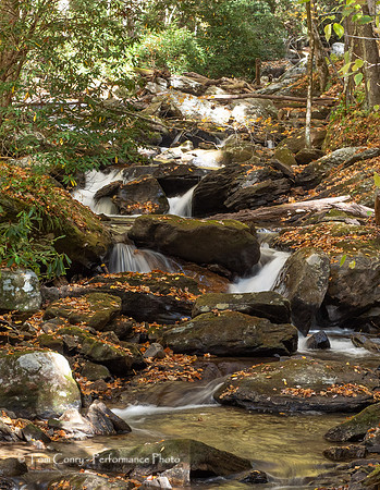 Helen GA Autumn  October 24, 2022 - 016