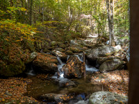 Helen GA Autumn  October 24, 2022 - 033