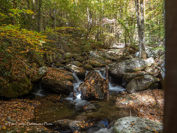 Helen GA Autumn  October 24, 2022 - 033