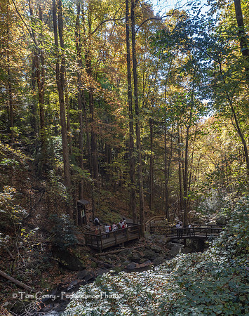 Helen GA Autumn  October 24, 2022 - 028