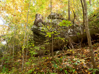 Helen GA Autumn  October 24, 2022 - 032