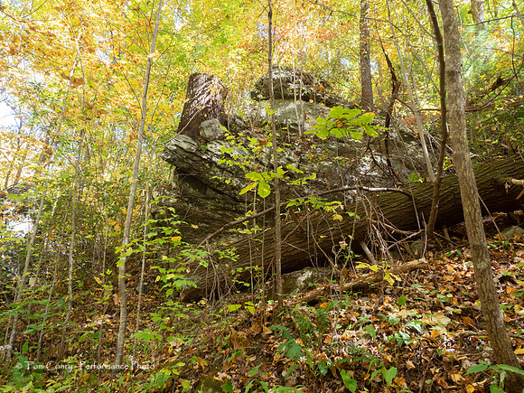 Helen GA Autumn  October 24, 2022 - 032