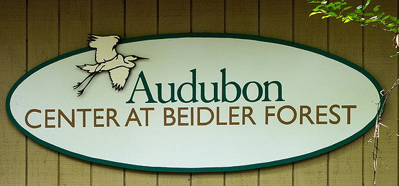 Francis Beidler - Audubon  May 07, 2021  092