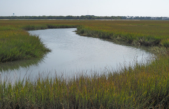 Isle of Palms Plus October 14, 2021 495