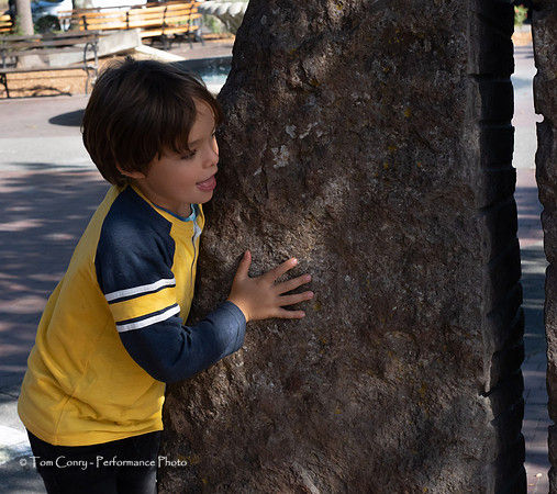 Sebastopol 2019 October 18, 2019  030