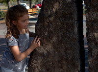 Sebastopol 2019 October 18, 2019  031