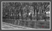John Foehl The Gardens