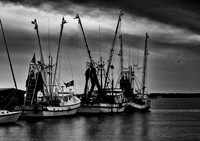 Ron Shem Creek Shrimp Boats