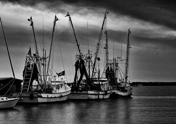 Ron Shem Creek Shrimp Boats