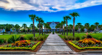 May2016 DWN Photo Contest