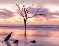 Bull Island