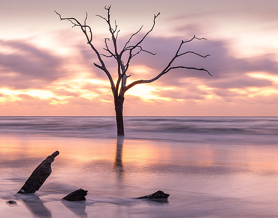 Bull Island